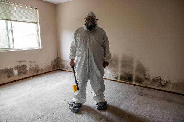 Best Crawl Space Mold Remediation in Fort Washakie, WY